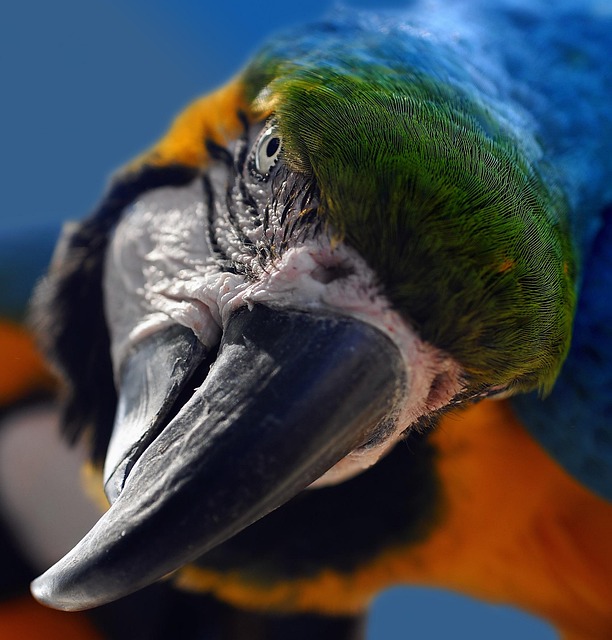 20代での婚活は早い？有利・不利と結婚相談所の活用ポイント