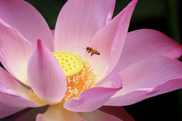 婚活で本当に大切なこと｜価値観が合う相手を選ぶための考え方